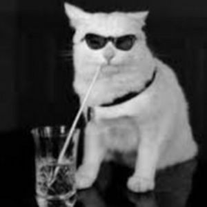 Meet your Posher, Millie rose